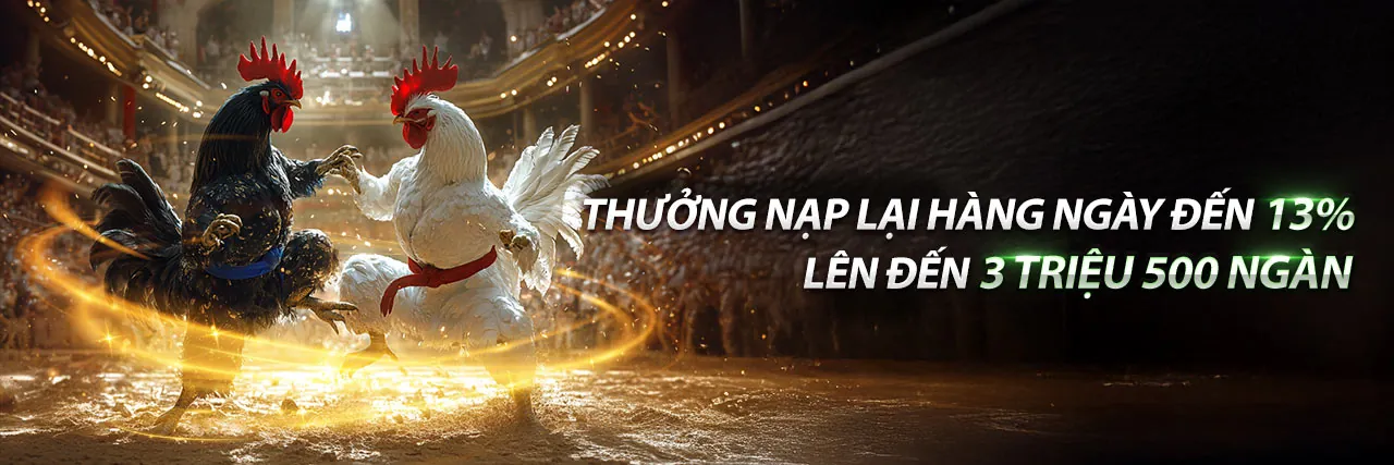 Đá Gà Thommo C3 - Trải nghiệm cá cược đá gà trực tuyến đỉnh cao tại Bongx9